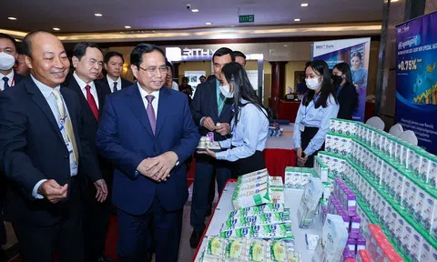 Vinamilk nâng vốn đầu tư cho dự án tại Campuchia lên 42 triệu USD