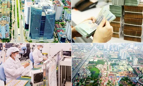 Xử lý dứt điểm các tồn tại, vướng mắc về hình thức pháp lý của công ty nhà nước