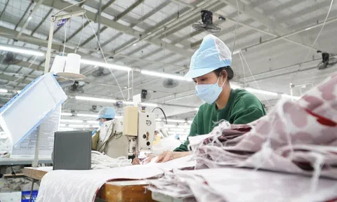 Quy định về điều kiện hưởng trợ cấp thất nghiệp khi chấm dứt hợp đồng lao động và trình tự thủ tục, hồ sơ thực hiện
