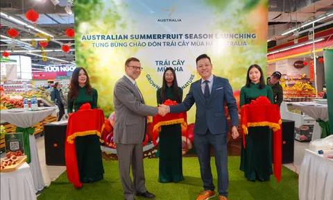 Lễ hội “Chào Đón Trái Cây Mùa Hạ Australia” tại WinMart thu hút khách hàng