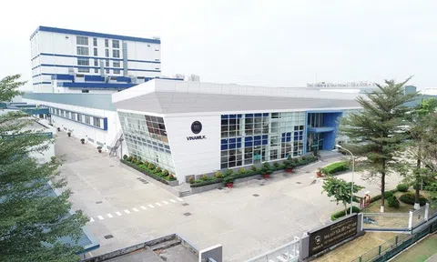 Vinamilk là công ty đầu tiên và duy nhất của Châu Á sở hữu giải thưởng Purity Award cho sữa bột trẻ em