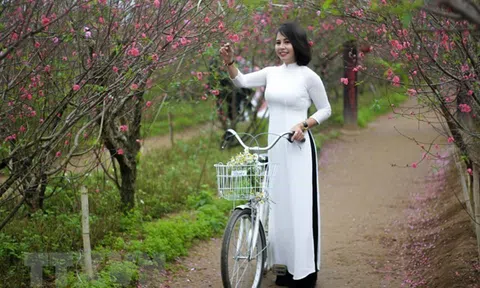 Đào Bắc, mai Nam - Thú chơi hoa ngày Tết của người Việt