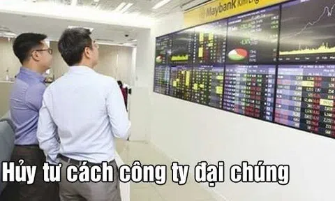 Hủy tư cách công ty đại chúng và những vấn đề pháp lý