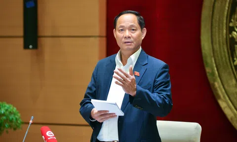 Nghiên cứu để Chủ tịch UBND thành phố giải trình tại các Ủy ban của Quốc hội