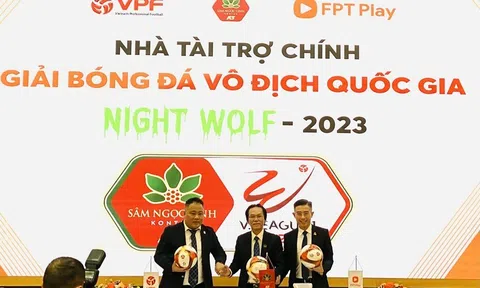 Vụ HAGL kiện VPF và những bất cập, khuyết thiếu trong các quy định pháp luật điều chỉnh hoạt động kinh tế thể thao.