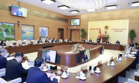Xử lý nghiêm minh các hành vi vi phạm hành chính trong lĩnh vực kiểm toán nhà nước