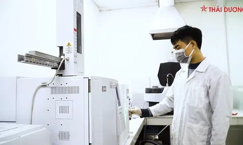Sao Thái Dương tiên phong áp dụng công nghệ hiện đại