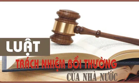 Giải quyết yêu cầu bồi thường trong quá trình tố tụng hình sự, tố tụng hành chính