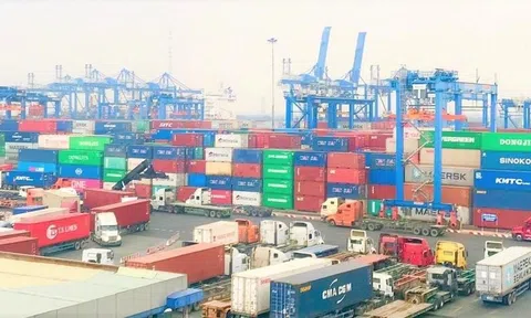 VCCI đề xuất không kiểm tra xuất xứ với hàng hóa đã có C/O