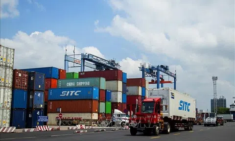 VCCI: Hạn chế chồng chéo về quản lý khi xác minh xuất xứ hàng hóa xuất khẩu