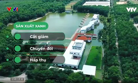 Net Zero: Từ cam kết đến những bước đi tiên phong của doanh nghiệp Việt