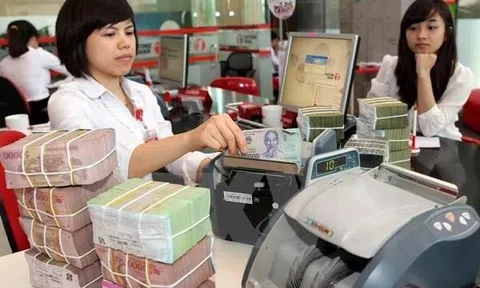 Chính sách mới về kinh tế, tư pháp… có hiệu lực từ tháng 3/2023