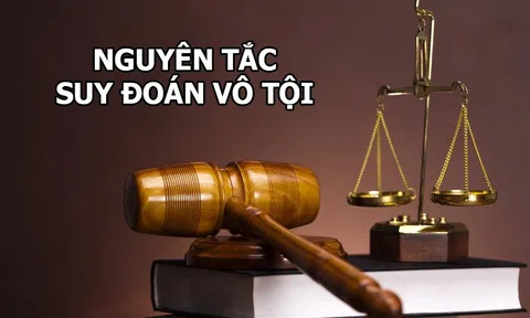 Vận dụng nguyên tắc suy đoán vô tội nhìn từ việc trả tự do 4 tiếp viên hàng không
