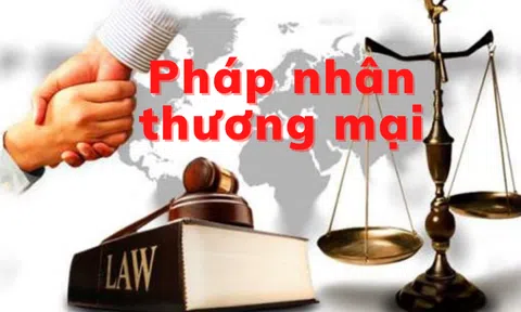 33 tội danh pháp nhân thương mại có thể bị truy cứu TNHS, không có tội lạm dụng tín nhiệm chiếm đoạt tài sản