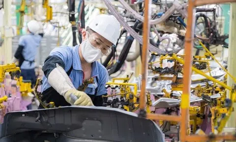Việt Nam sớm chủ động giành quyền đánh thuế tối thiểu toàn cầu