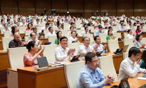Những điểm sửa đổi, bổ sung mới trong Luật Giá, Luật Hợp tác xã, Luật Bảo vệ quyền lợi người tiêu dùng