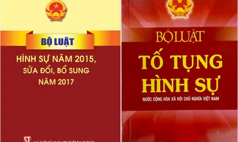 Vụ "chuyến bay giải cứu": Căn cứ pháp lý Toà án quyết định hình phạt một số bị cáo cao hơn mức đề nghị của Viện Kiểm sát.