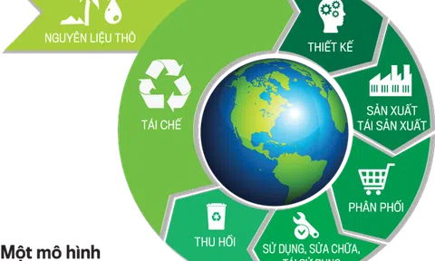 Doanh nghiệp tham gia thử nghiệm phát triển kinh tế tuần hoàn được hưởng ưu đãi gì?