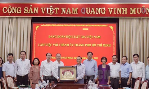 Phát huy tốt nhất vai trò của Hội Luật gia TP trong việc đóng góp chung cho TPHCM và cả nước