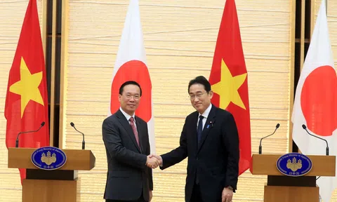 Quan hệ đối tác chiến lược toàn diện Việt Nam và Nhật Bản – Minh chứng sinh động trường phái ngoại giao “Cây tre Việt Nam”