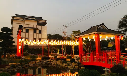 Người dân Đức Hòa tưng bừng đón Tết trên Đại lộ phố trung tâm