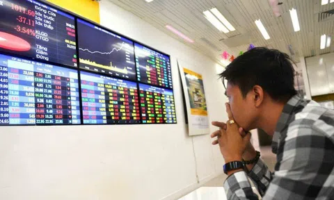 Sở giao dịch Chứng khoán chỉ được đầu tư ra ngoài doanh nghiệp trong lĩnh vực CK và TTCK