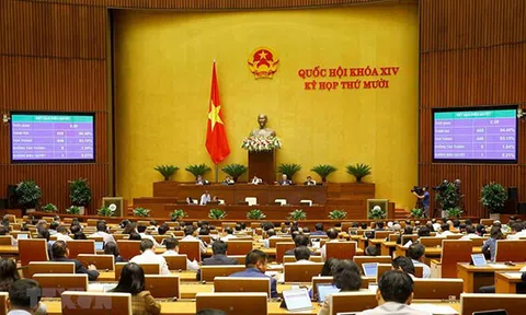 Nghiên cứu, đánh giá toàn diện bối cảnh về công tác xây dựng và tổ chức thi hành pháp luật