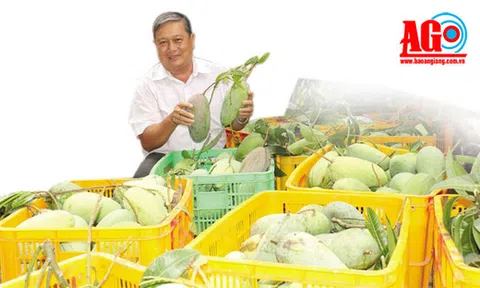 Làng tỷ phú trên đất cù lao