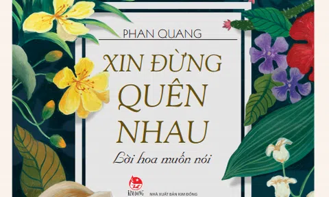 Một đóa mai vàng