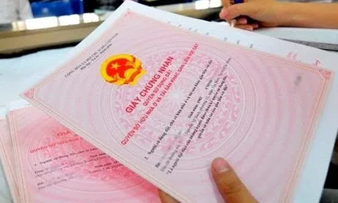 Tổng giám đốc lừa bán căn hộ của dự án bị thu hồi