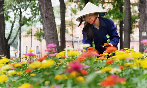 Đấu thầu dịch vụ công ích: khó vô vì “sân sau”