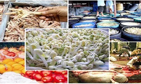 Hơn 5.600 cơ sở vi phạm về ATTP dịp Tết