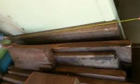 Khởi tố vụ trốn thuế lớn nhất tỉnh Quảng Trị