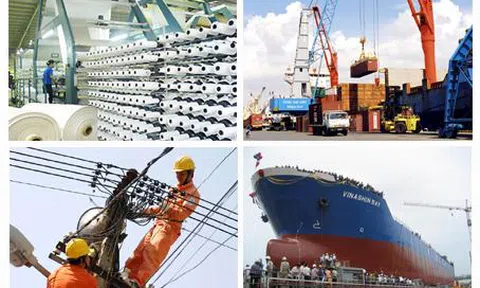 Thua lỗ sau cổ phần hóa DNNN, lãnh đạo phải bồi thường