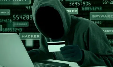 650.000 người bị lừa đảo gần 550 triệu USD