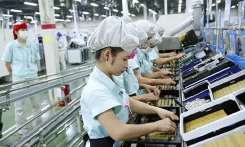 Bãi bỏ các quy định hạn chế quyền tự do kinh doanh
