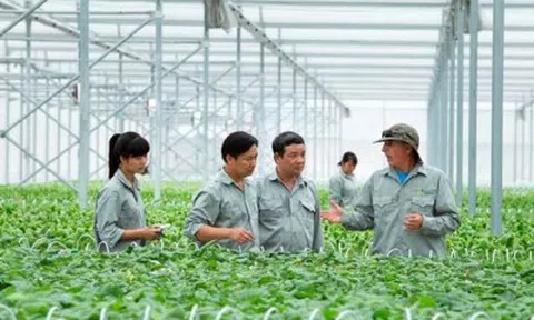 Phát triển nền nông nghiệp "an toàn - hiệu quả"