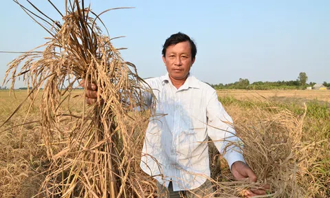 Bắt tạm giam cán bộ ăn chặn tiền hạn, mặn