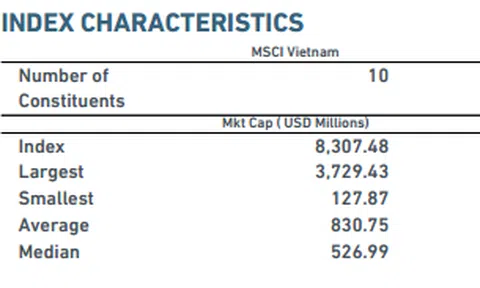 Duy nhất 2 cổ phiếu Việt Nam vào rổ MSCI Frontier Markets Index