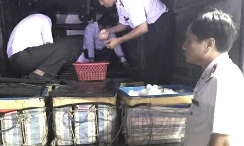 Bạc Liêu:  Bắt xe tải chở hơn 400 ký tôm có chứa tạp chất
