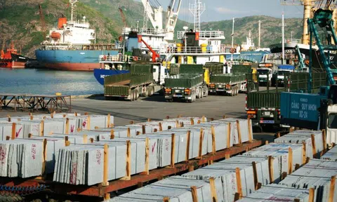 Vì sao Ủy ban Kiểm tra TW yêu cầu thanh tra toàn diện Cảng Quy Nhơn?