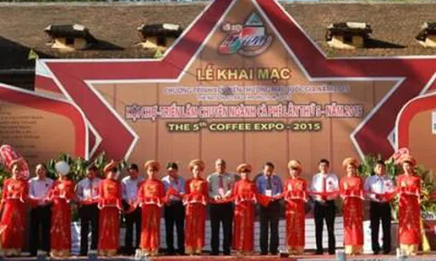 Tích cực đưa chính sách tái canh cà phê đi vào cuộc sống