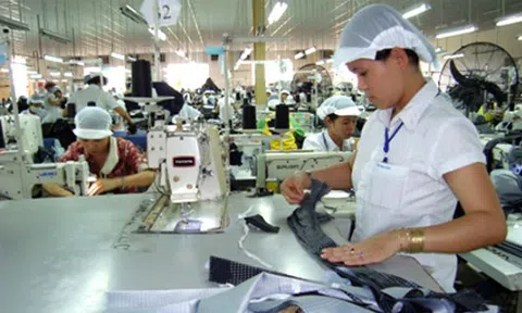 Hai phương án hỗ trợ thuế cho các doanh nghiệp nhỏ và vừa