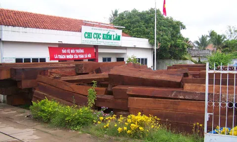 Hàng loạt lãnh đạo kiểm lâm Tiền Giang tiếp tay cho gỗ lậu
