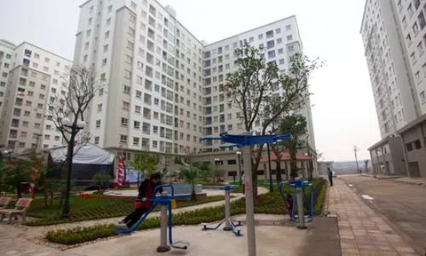 'Thua kèo' nghìn tỷ thương vụ đất vàng Kim Liên vẫn 'lọt cửa' mua NOXH Ecohome