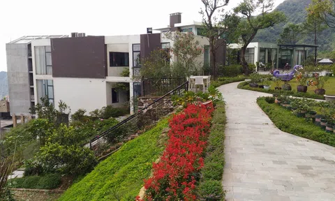 Từ chuyện "biệt phủ" Trịnh Xuân Thanh đến "cơn sốt" ô tô giảm giá