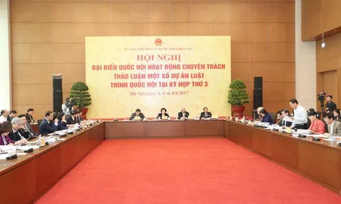 Đại biểu Quốc hội chuyên trách: Thảo luận về dự án Luật quản lý, sử dụng tài sản nhà nước