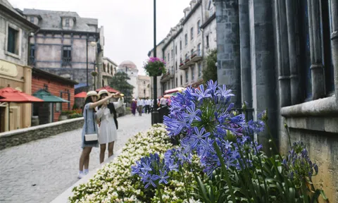 Có một thiên đường hoa tại Sun World Ba Na Hills