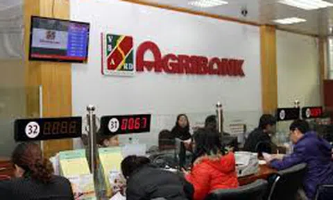 Gian nan xử lý nợ xấu, áp lực trong vai trò “bà đỡ”