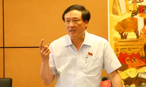 Chánh án TAND Tối cao đề xuất phạt tù trẻ vị thành niên bằng 1/4 người lớn
